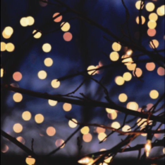 Meet your Posher, Nina - Picture 1 of 1